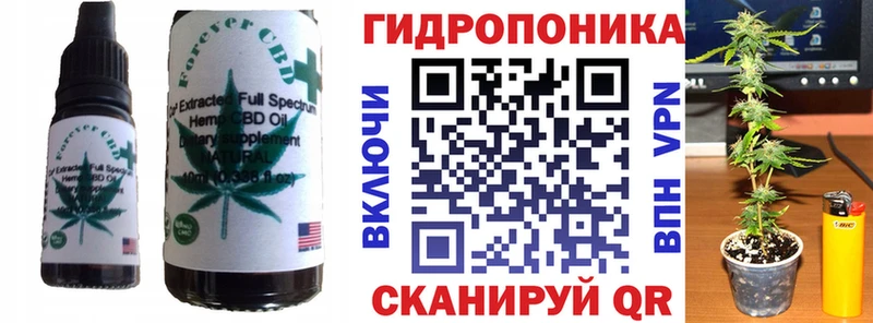 Canna-Cookies марихуана  Купить закладки  Иланский 