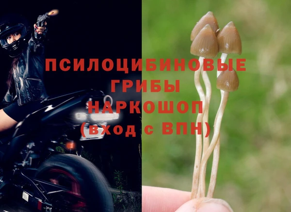 первитин Баксан