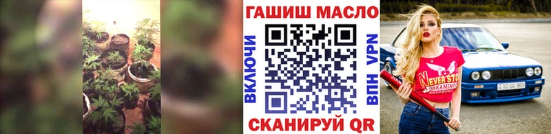 ТГК концентрат  Купить где  Иланский 