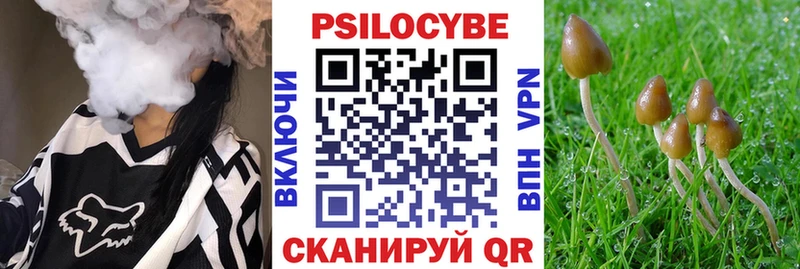 Галлюциногенные грибы Psilocybe  Купить  Иланский 